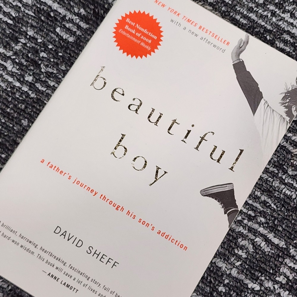 Beautiful Boy: A Father's Journey Through His Son's Addiction by David Sheff